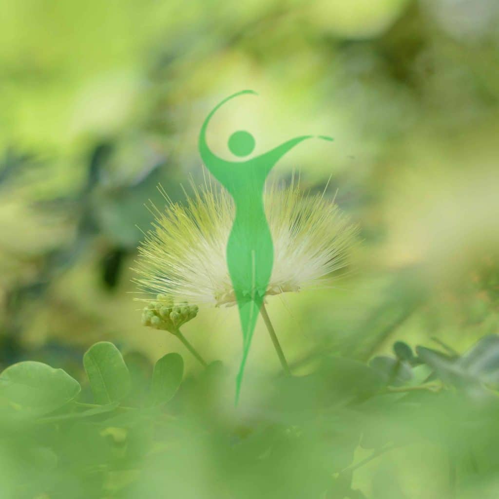 El Paraiso Verde logo
