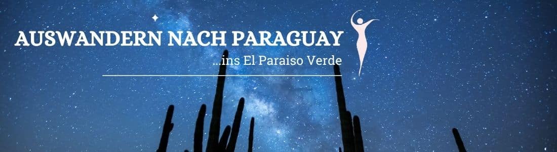 auswandern-aus-paraguay-ihr-service